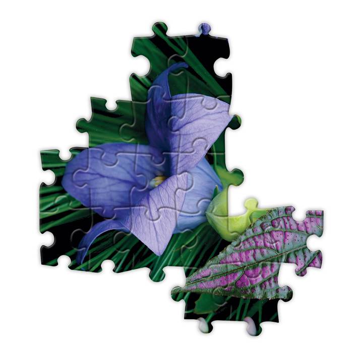 Puzzle 1000 piezas: Florero de Verano