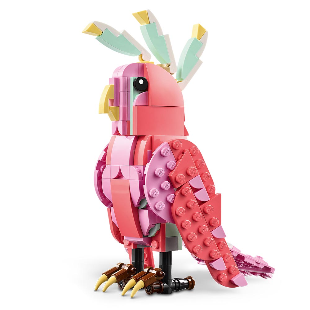 Fauna Salvaje: Flamenco Rosa