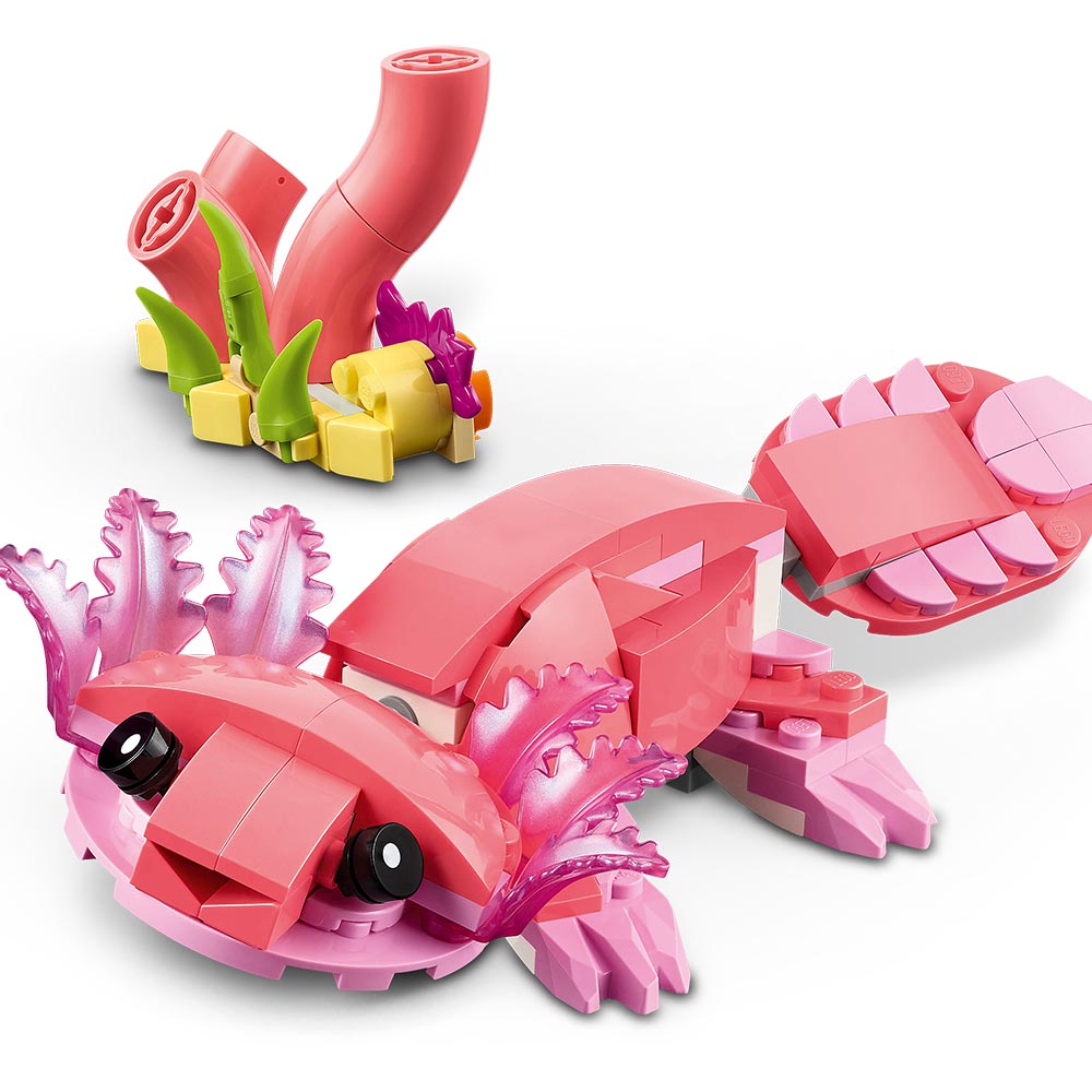 Fauna Salvaje: Flamenco Rosa