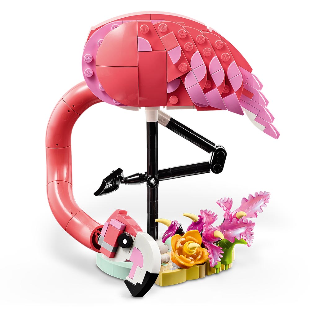 Fauna Salvaje: Flamenco Rosa