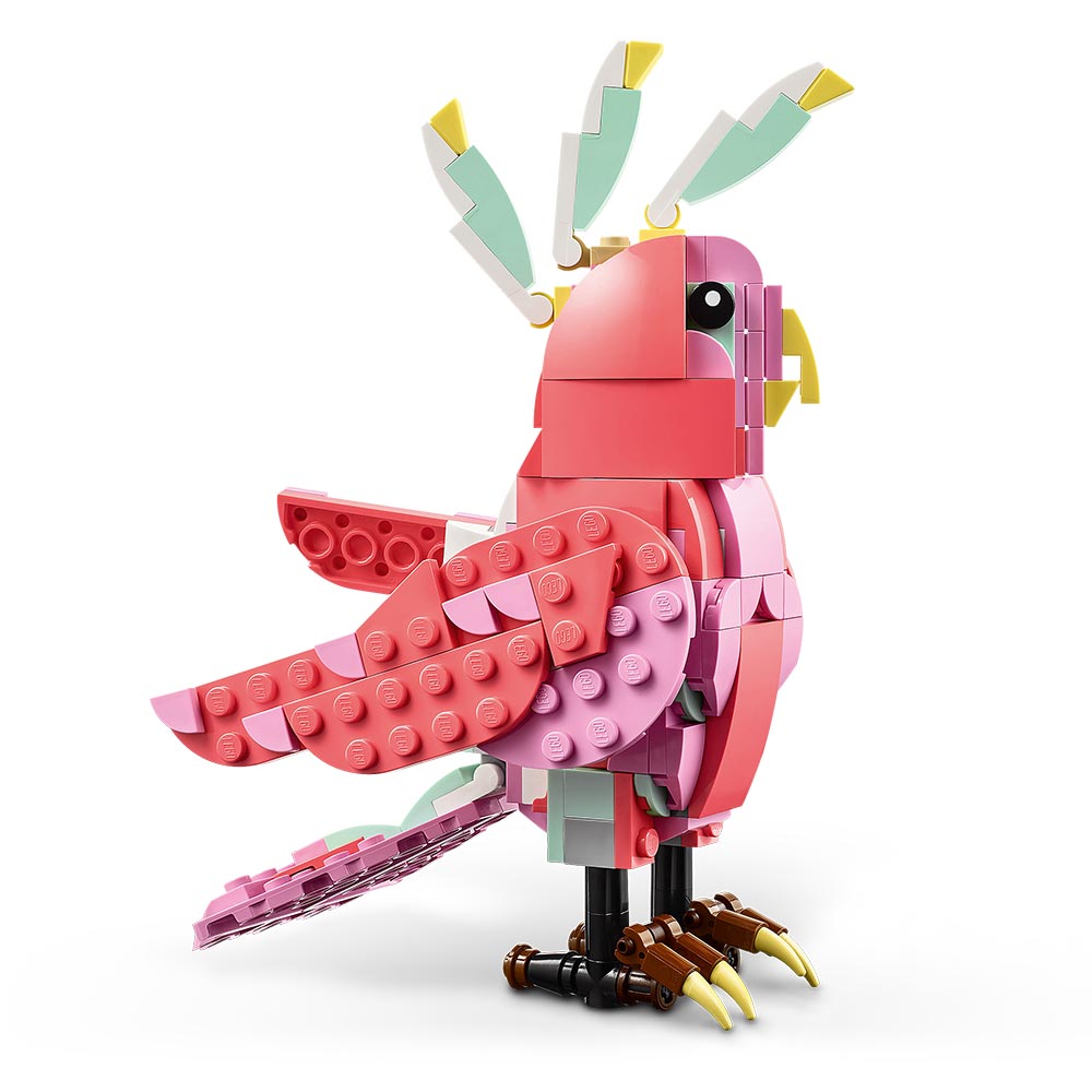 Fauna Salvaje: Flamenco Rosa