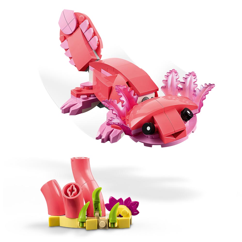 Fauna Salvaje: Flamenco Rosa
