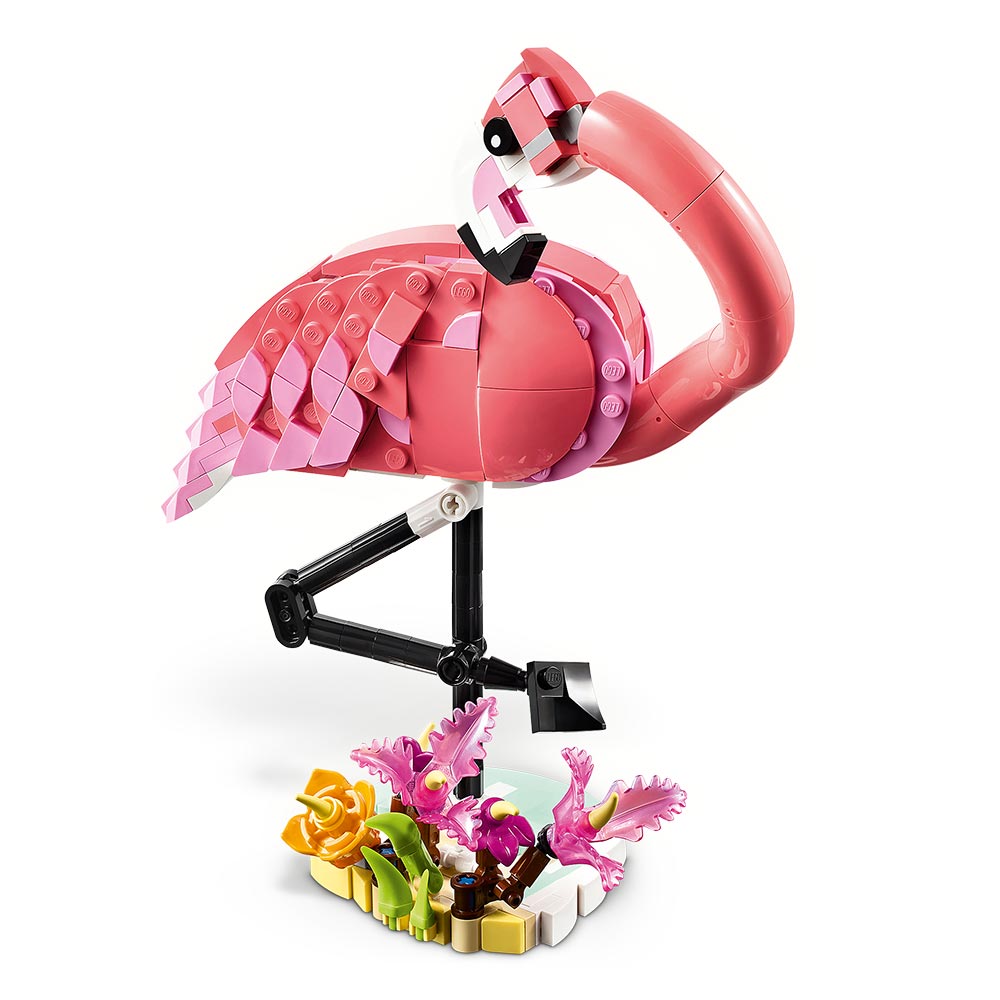 Fauna Salvaje: Flamenco Rosa