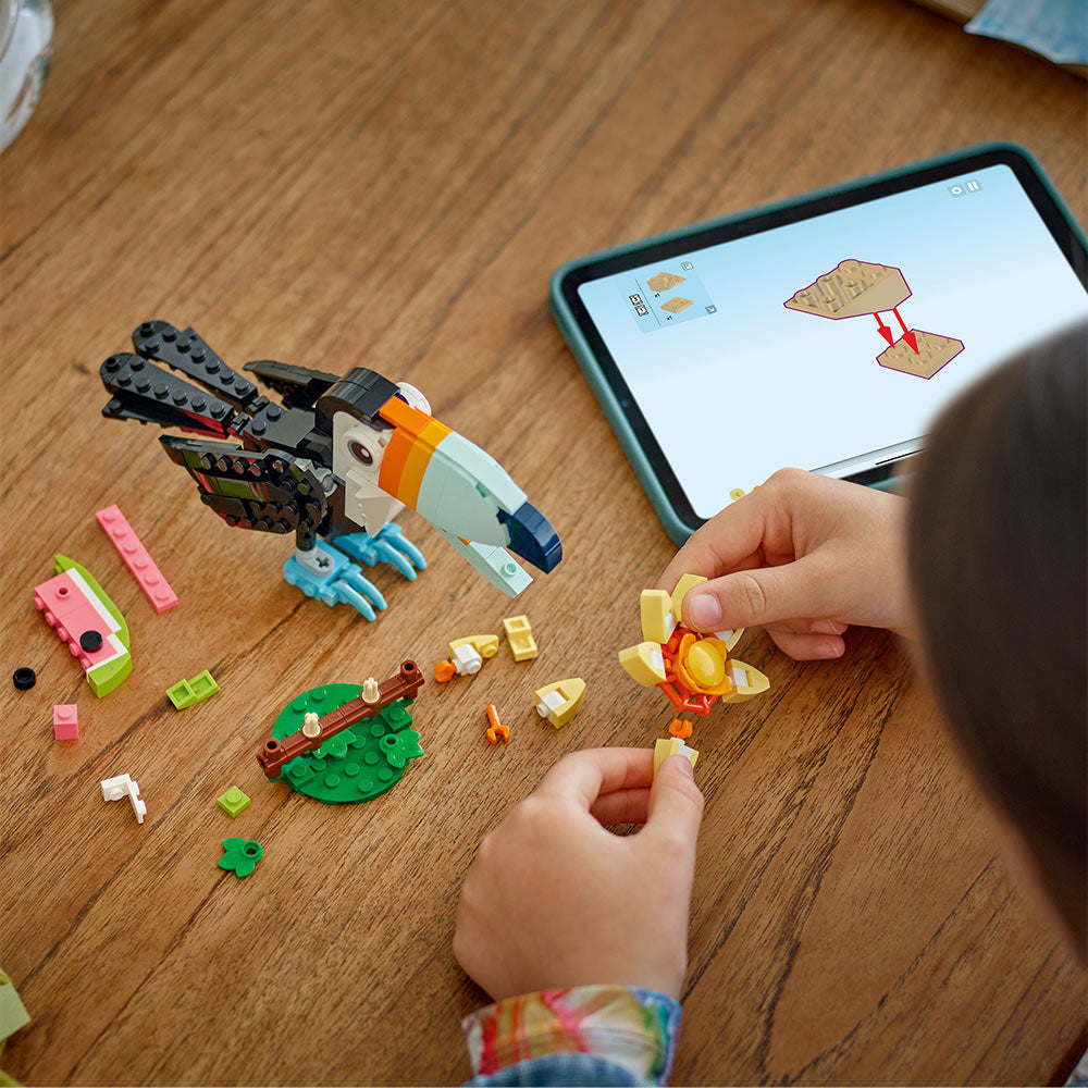 Fauna Salvaje: Tucán Tropical