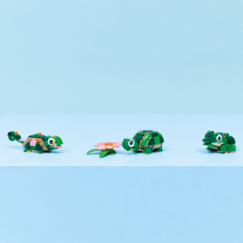 Tortuga con Flor de Nenúfar
