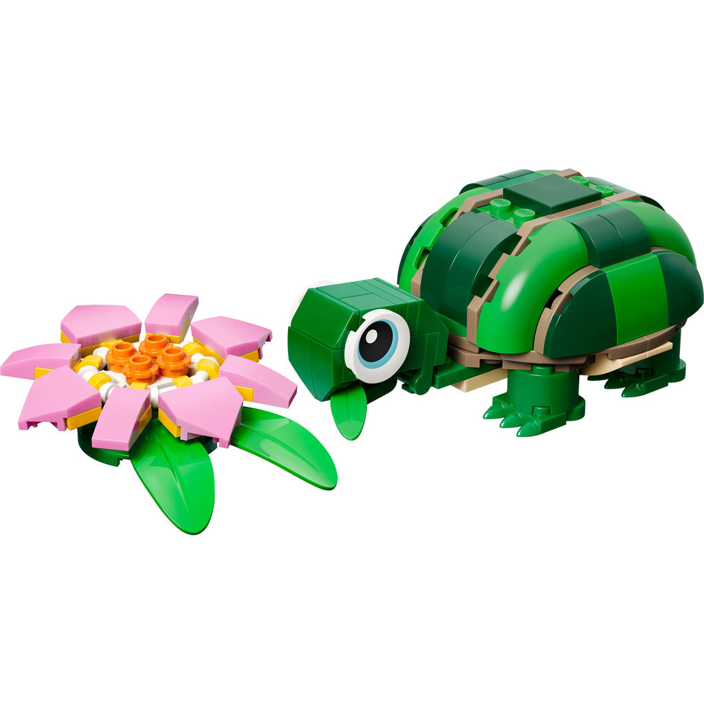 Tortuga con Flor de Nenúfar
