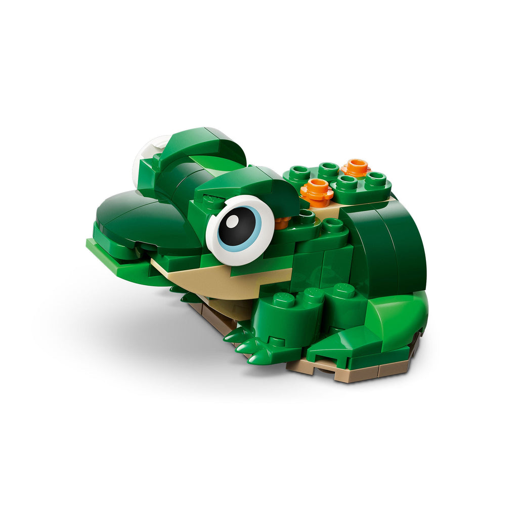 Tortuga con Flor de Nenúfar
