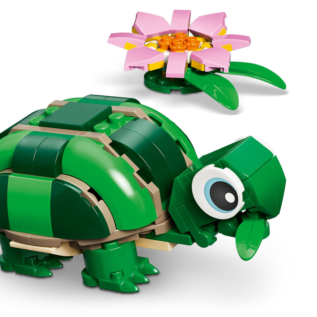 Tortuga con Flor de Nenúfar
