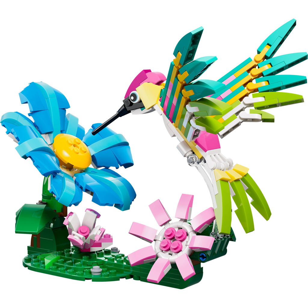 Fauna Salvaje: Colibrí Colorido