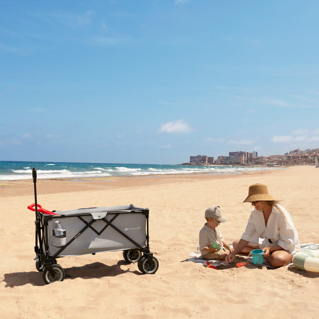 Carrito de transporte plegable ROLLSTER - Negro