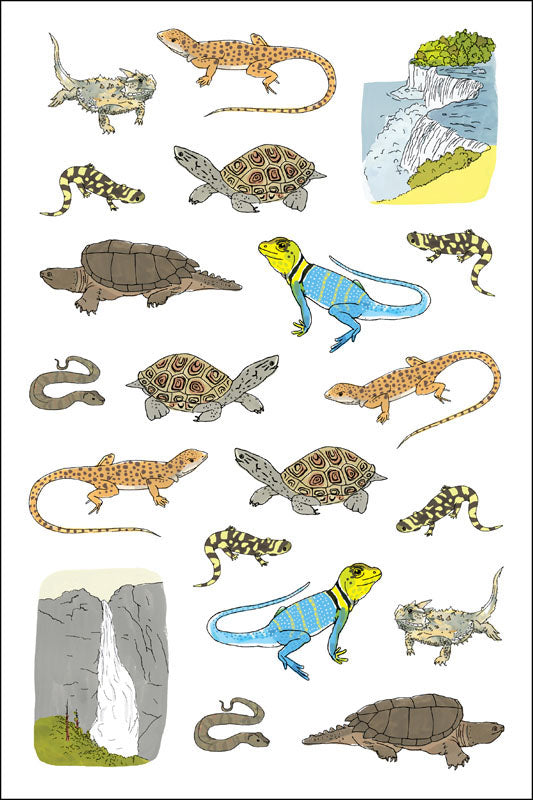 Libro de Stickers: Anatomía de la Naturaleza