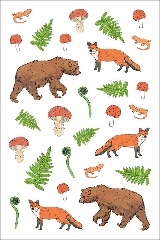 Libro de Stickers: Anatomía de la Naturaleza