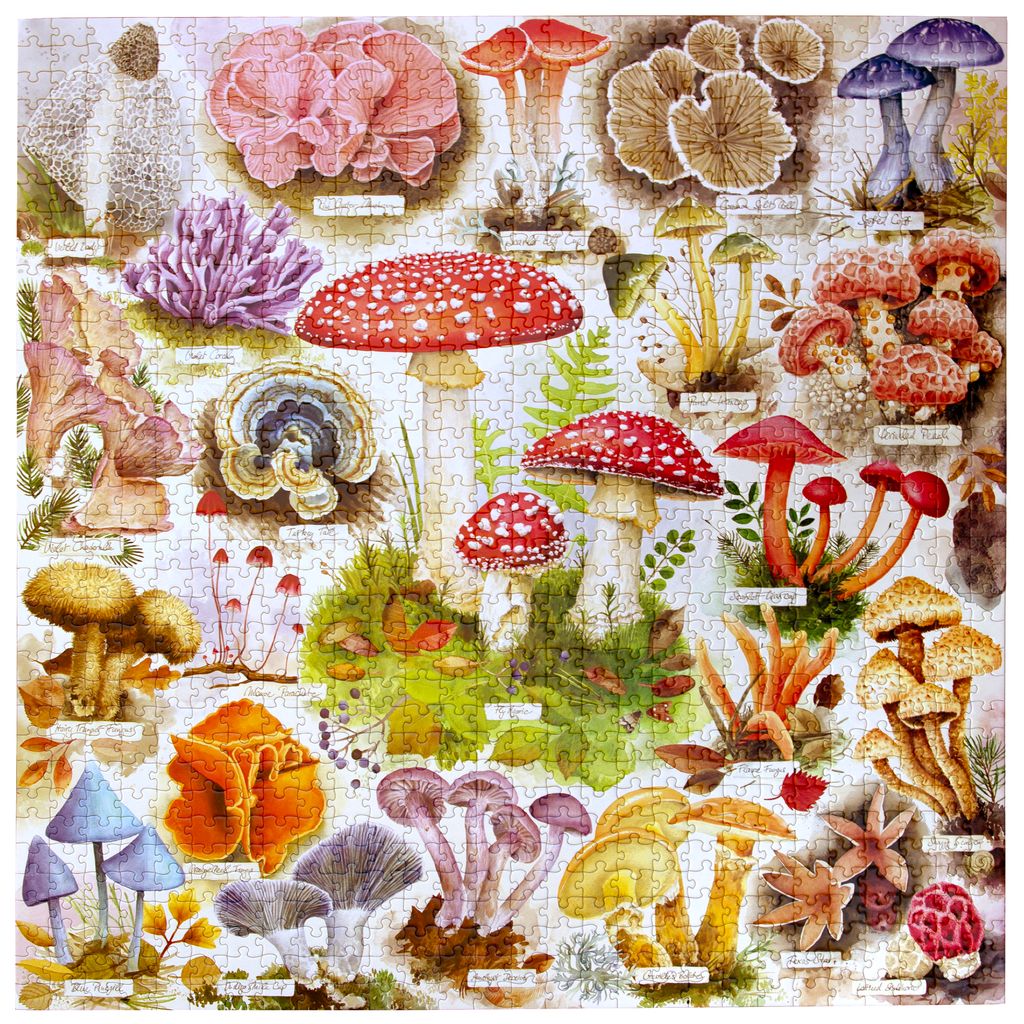 Puzzle 1000 piezas: Bountiful Mushrooms