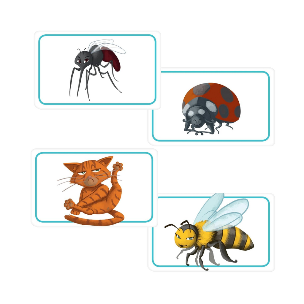 Concept Kids Animales
