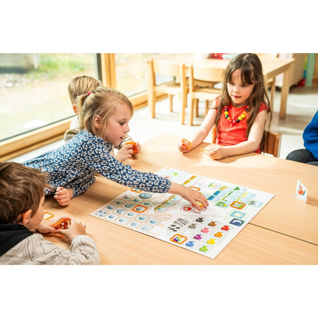 Concept Kids Animales