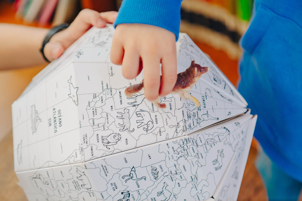 Globo Terráqueo + lápices 12 colores