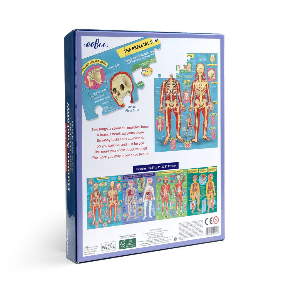 Set de 4 puzzles de 48 piezas Anatomía Humana