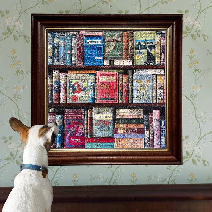 Puzzle 1000 piezas: Vintage Library