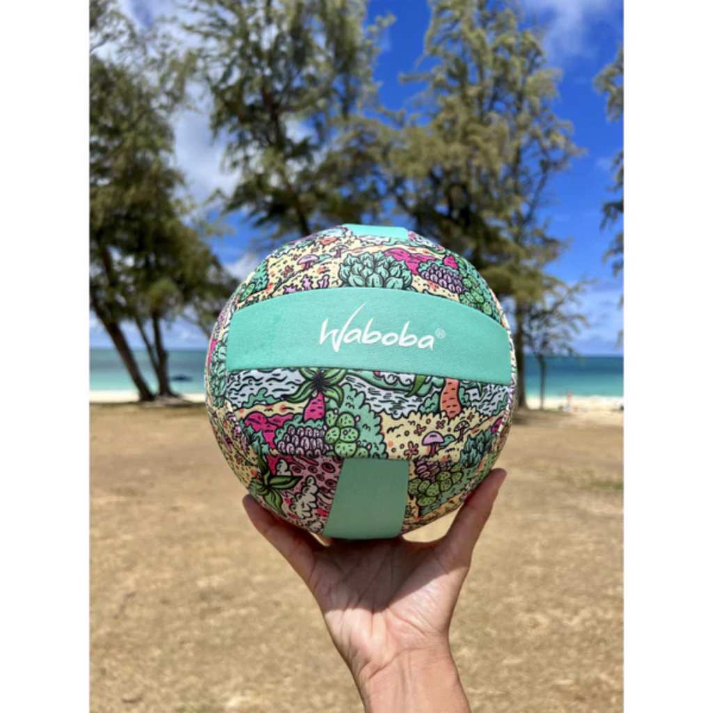 Pelota de voleibol playera