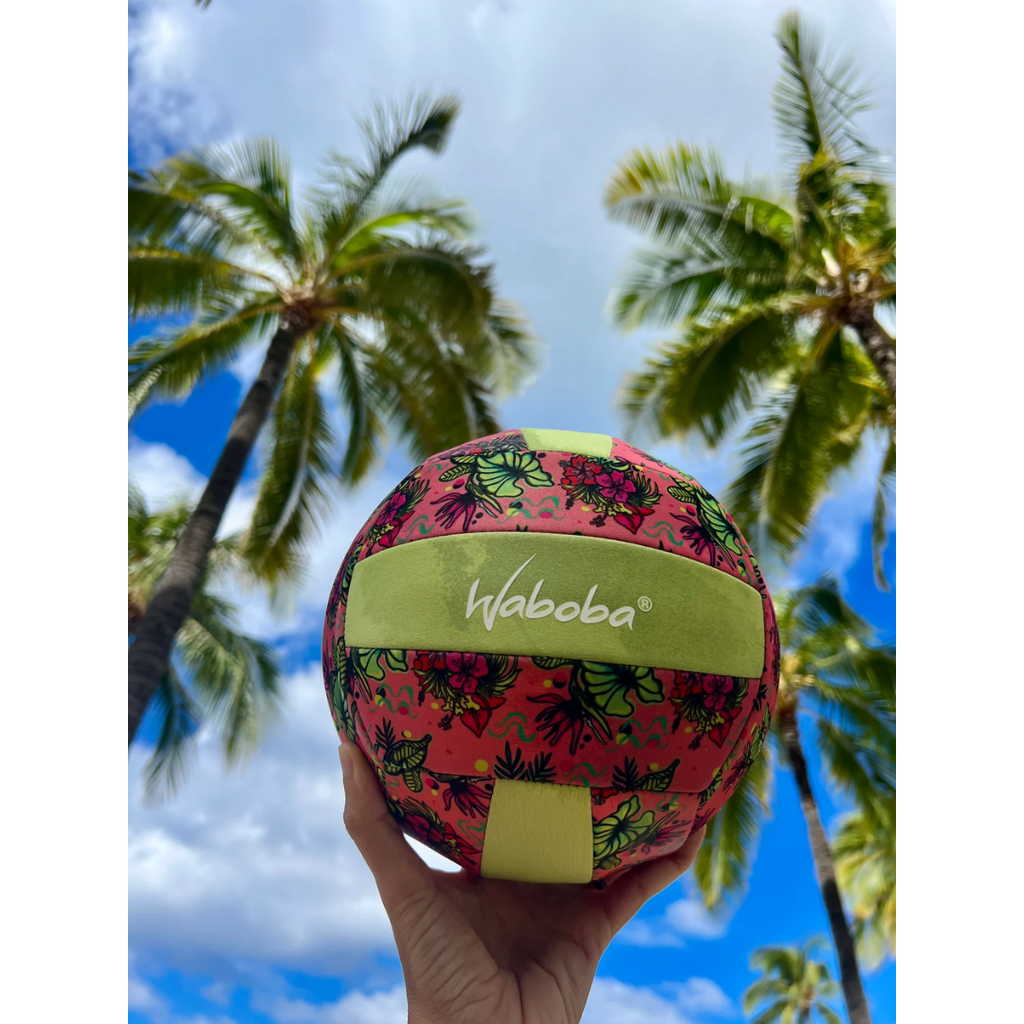 Pelota de voleibol playera