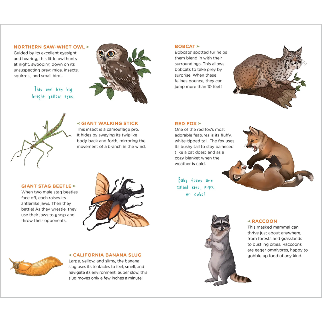 Tatuajes: Animales salvajes del bosque