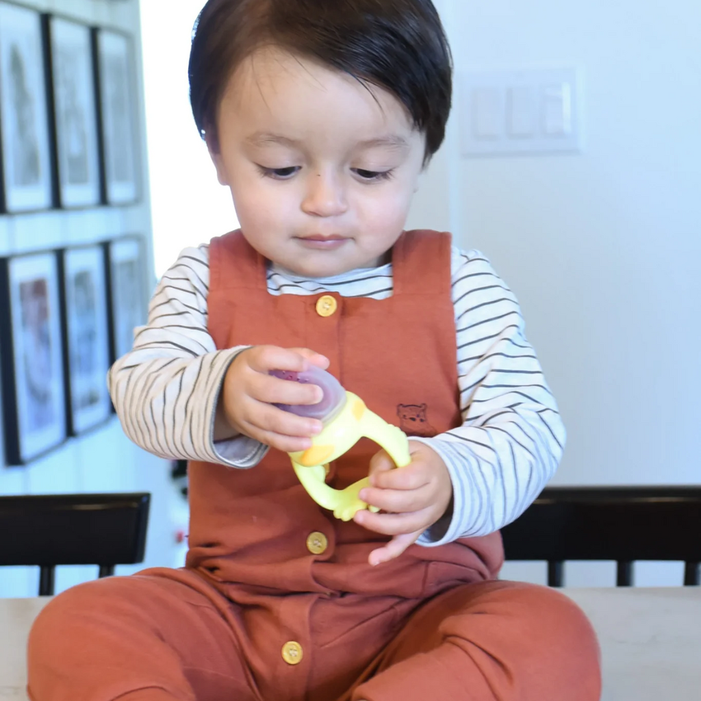 Chupete mordedor para fruta Pato