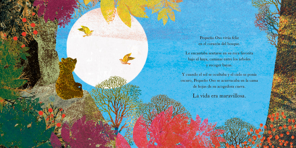 Un hogar para pequeño Oso