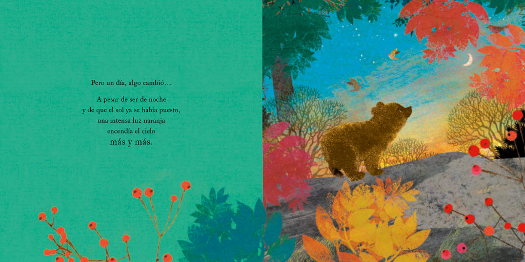 Un hogar para pequeño Oso