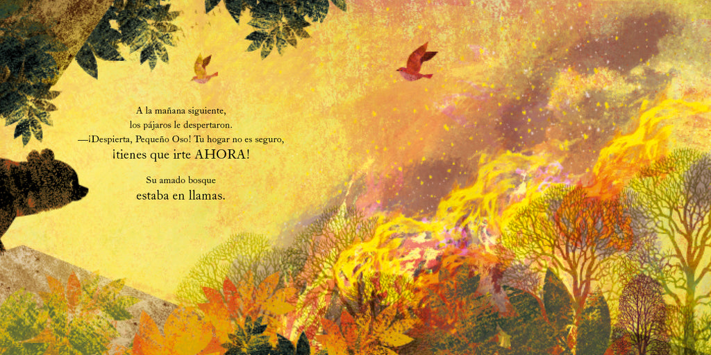 Un hogar para pequeño Oso