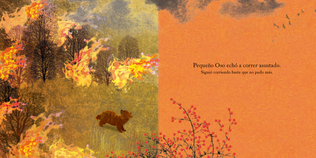 Un hogar para pequeño Oso
