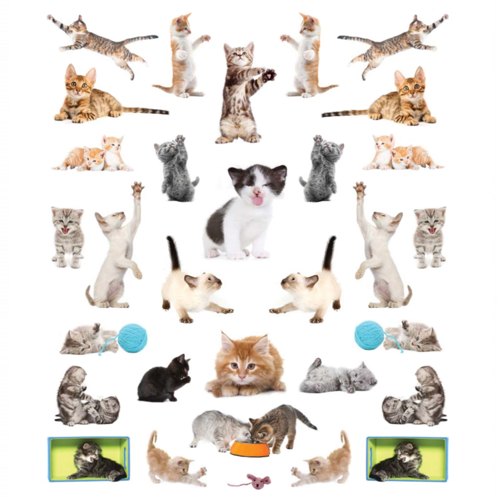 Libro Eyelike Stickers: Gatitos