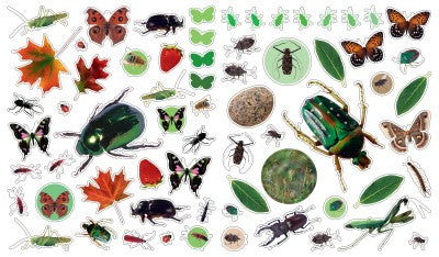 Libro Eyelike Stickers: Insectos