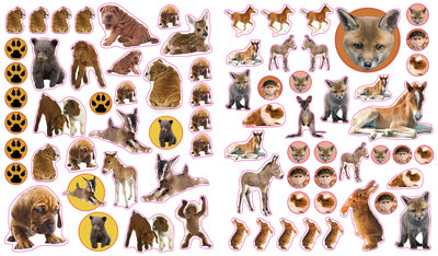 Libro Eyelike Stickers: Animales Bebés