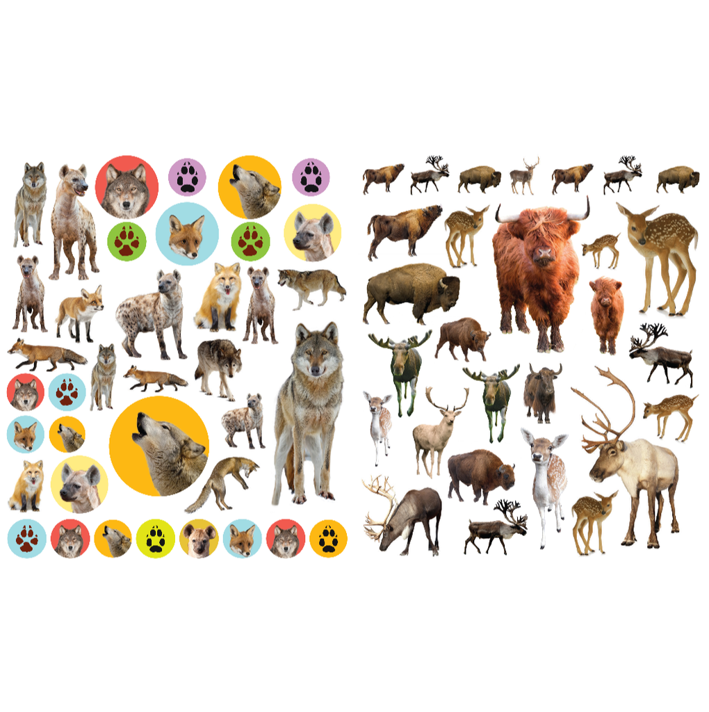 Libro Eyelike Stickers: Animales Salvajes