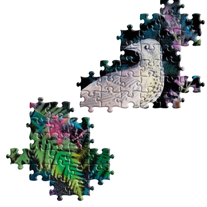 Puzzle 1000 piezas: Pájaros en Helechos