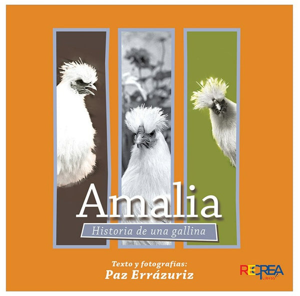 Libro: Amalia