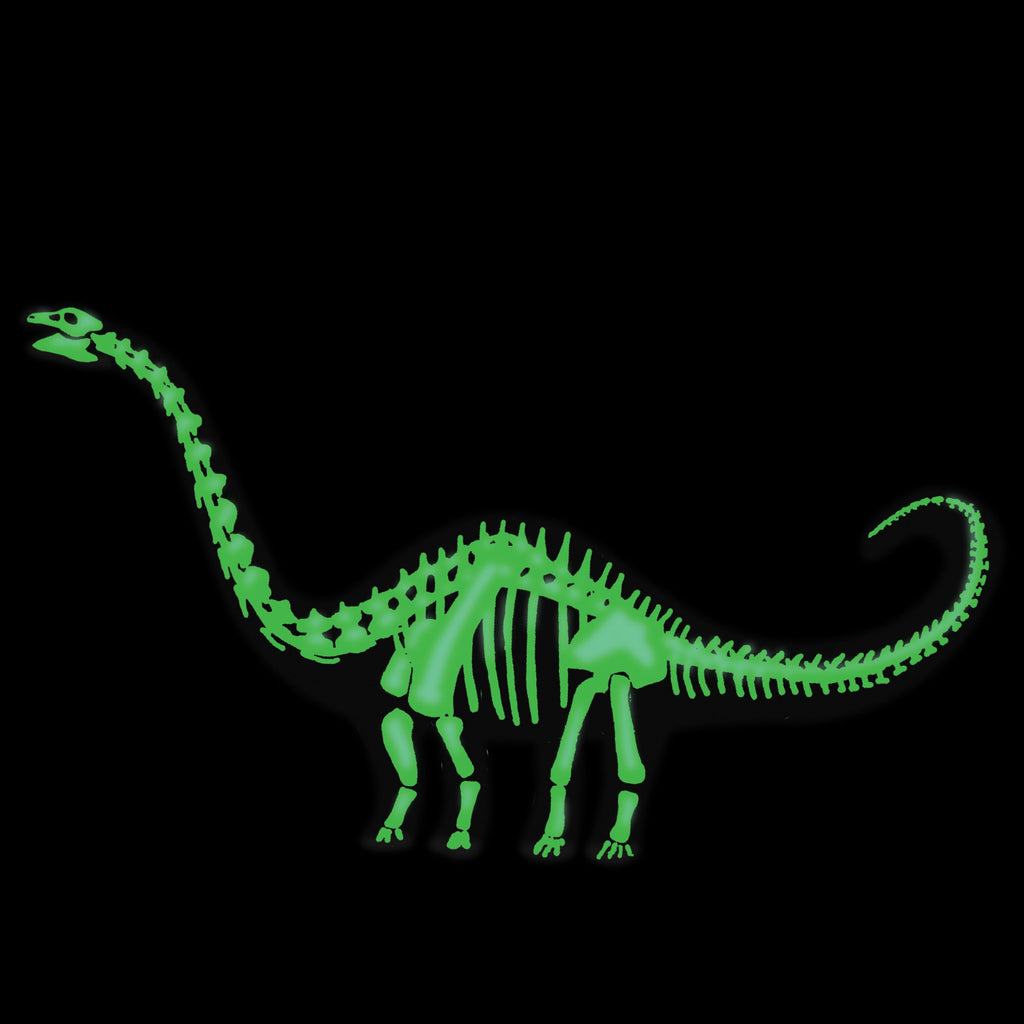 Dinosaurios 3D brilla en la oscuridad: Diplodocus